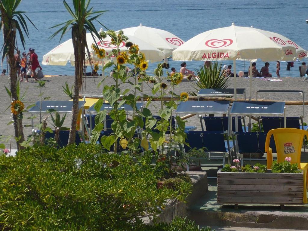 Zi Bak Barano dʼIschia Exterior foto
